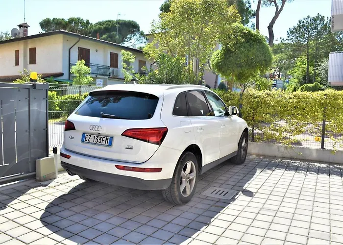 Todaro Бибионе